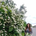 ���� Grace, ����� - ��������� 23 ��� 2024 � ������ ���� ����������