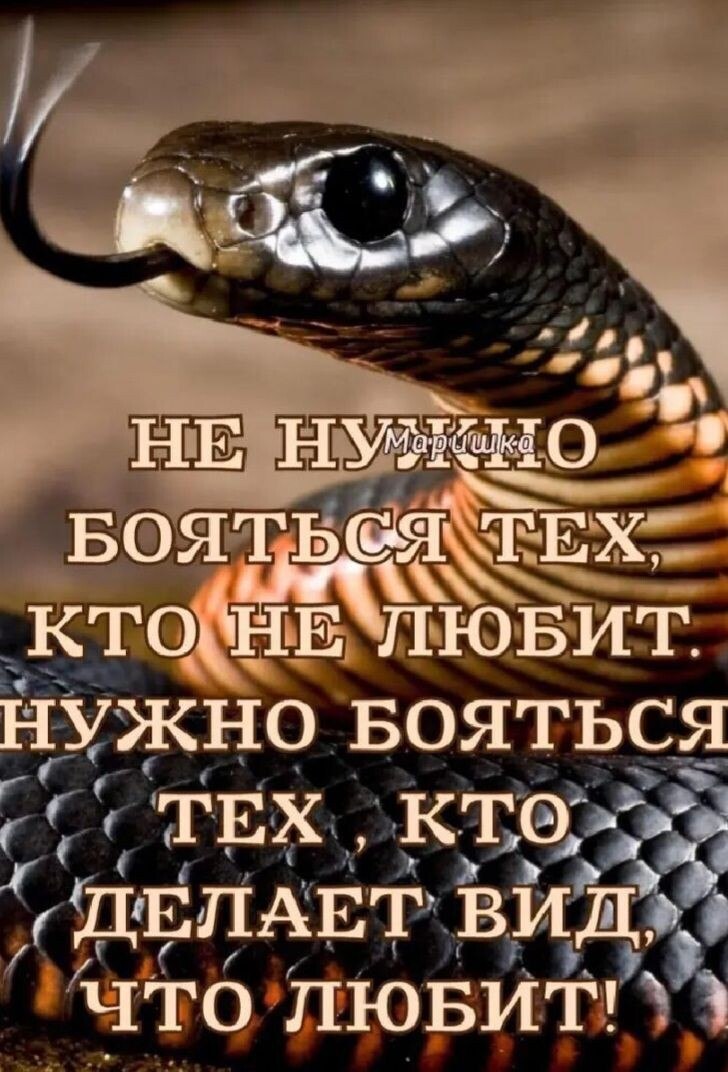 � - 29 ������ 2024 � 19:00