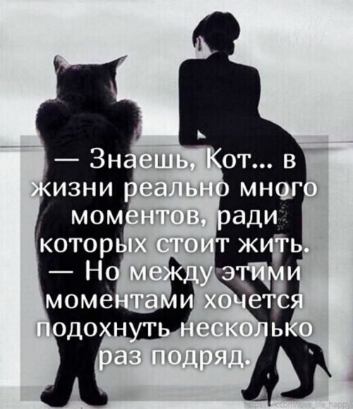   ! - 15  2024  23:14