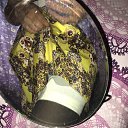 ���� �������, ����, 40 ��� - ��������� 8 ������ 2025 � ������ ���� ����������