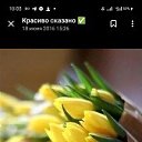 ���� Olea, �������, 35 ��� - ��������� 21 ������� 2023 � ������ ���� ����������