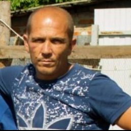 , 44, 