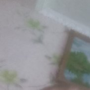 ������, 47 ���, ���