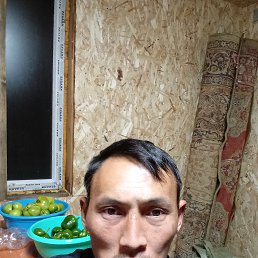, 35, 