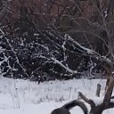 ���� ����, ������-��-����, 58 ��� - ��������� 4 ������ 2026 � ������ ���� ����������