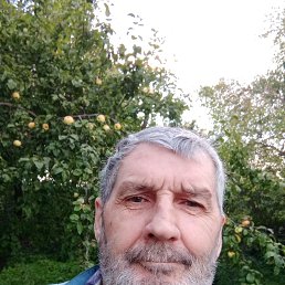 �������, 58 ���, ���