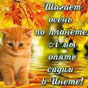 ���� �����, ������, 55 ��� - ��������� 9 ������� 2024