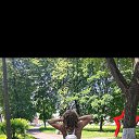 ���� ����, ������� ��������, 43 ���� - ��������� 27 ���� 2024 � ������ ���� ����������