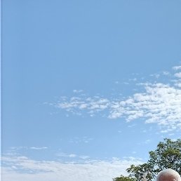 ������, �������, 55 ���