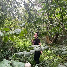 Natali, �������, 48 ���