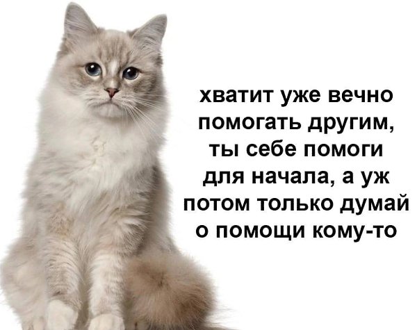    - 10  2023  21:21