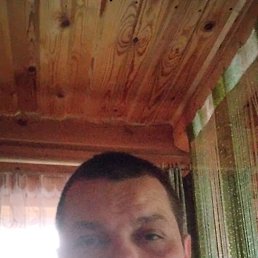 , 41, 