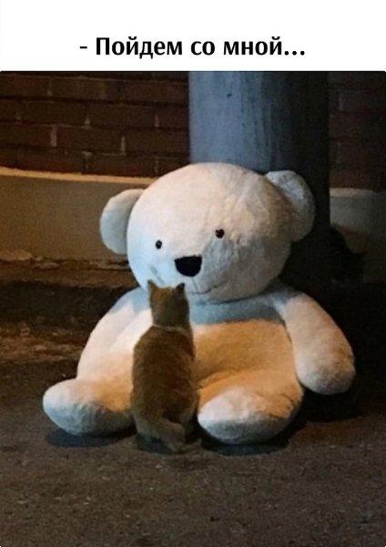       - 5  2024  16:01 - 3