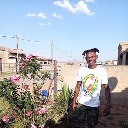 Siphiwe, �����������, 27 ���