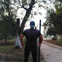 ���� �����, �������, 45 ��� - ��������� 5 ����� 2024