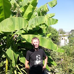 ���� ����, ������, 50 ��� - ��������� 21 ������ 2024