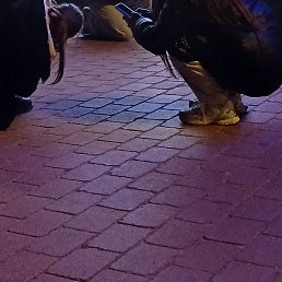 ����, �������, 20 ���