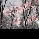 ���� ����, ������, 67 ��� - ��������� 25 ������� 2026 � ������ ���� ����������