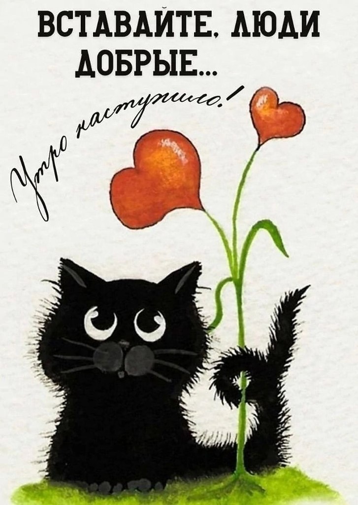 " ") - 21  2024  09:08