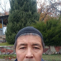 , 45, 