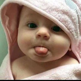 �������, �����, 25 ���