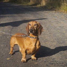 �����, ������������, 64 ����