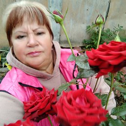 ���� �����, �����, 61 ��� - ��������� 11 ������ 2023