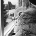 ���� ���������, ����������� - ��������� 9 ������� 2024 � ������ ������ ��������