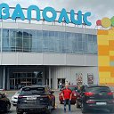 ���� ����, ������� ��������, 65 ��� - ��������� 16 ���� 2026 � ������ ���� ����������