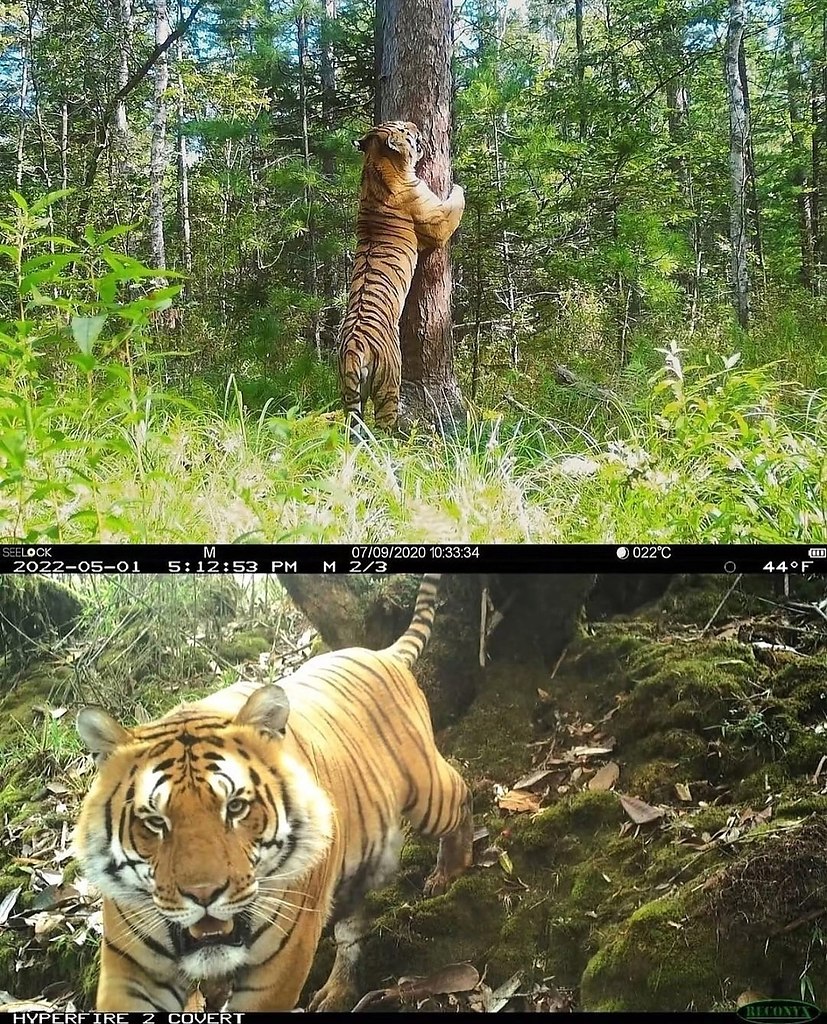     - 7