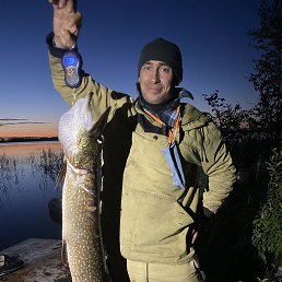 ����, 43 ����, ������������