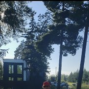 ������, 40 ���, ������