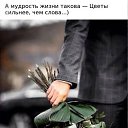 ���� ����, ��������, 63 ���� - ��������� 17 ������ 2026 � ������ ������ ��������