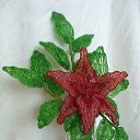  Alena, , 56  -  18  2025     