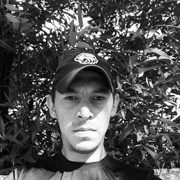 , 29 , 