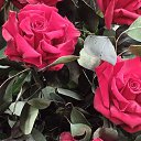 ���� �����, ��������, 56 ��� - ��������� 17 ������� 2024