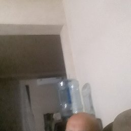 , 53, 