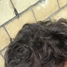 ���������, ����, 40 ���