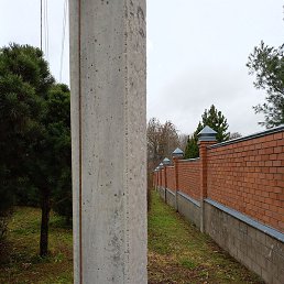 ������, �������, 38 ���