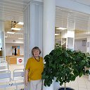 ���� ���������, ���� - ��������� 15 ������ 2024 � ������ ���� ����������