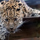 ���� �������, ����, 37 ��� - ��������� 5 ������� 2023 � ������ ���� ����������