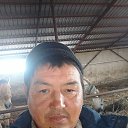 ���� ��������, ������, 46 ��� - ��������� 4 �������� 2024 � ������ ���� ����������