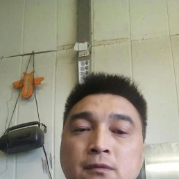  , 43 , 