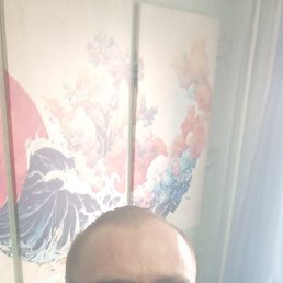, 31 , 