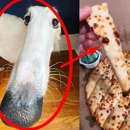 �������, ������, 20 ���