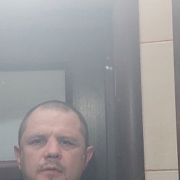 , 37, 
