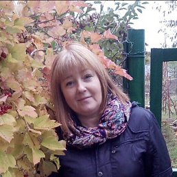 �����, �������, 49 ���