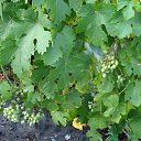 ���� �����, �������� - ��������� 26 ���� 2025 � ������ ������� 2025�