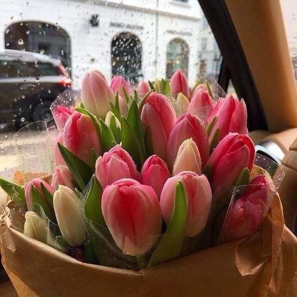 ������ � �����. � �������. �� ��������� �����. ��� �����. ����� ���� ������ ������� ���, ����� ...