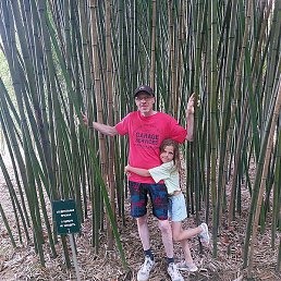 �������, ������, 48 ���